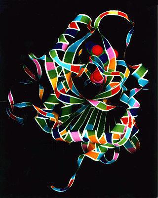 У каждого двадцатого человека уровень антиоксидантного фермента SOD3 в крови повышен в 10 раз. Фото 4 