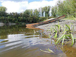 У Шегарки что ни приток, то какая-нибудь Мура. Фото 2 