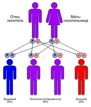 У взрослых мужчин порой обнаруживают матку. Фото 1 