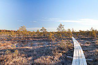 В латвийском заповеднике живут староверы. Фото 2 