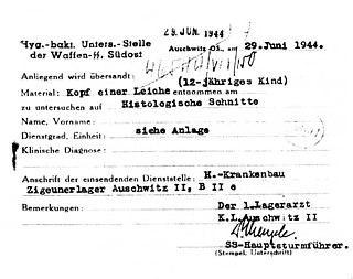 В нацистской Германии предпринимались попытки «сшить» братьев с целью искусственного получения сиамских близнецов. Фото 2 