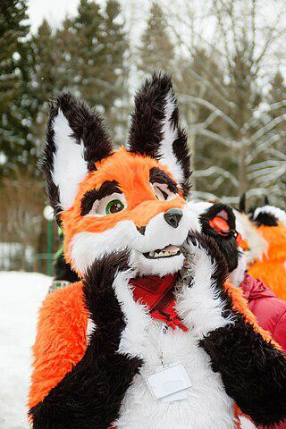 В России в целях защиты детей призывают запретить фурри (на илл.), чайлдфри и феминизм. Фото 2 