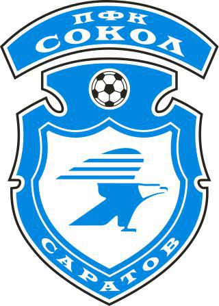 Вратарь саратовского «Сокола» стал автором шести стихотворных сборников. Фото 1 