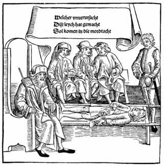 Быть свободным, как птица, в Германии вовсе не здорово. Фото 1 