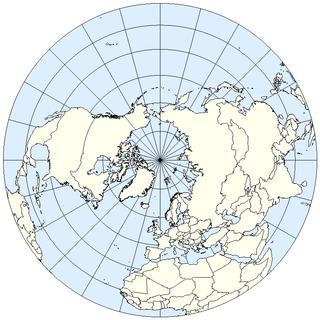 Единственный эвкалипт северного полушария переливается всеми цветами радуги. Фото 1 