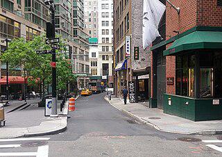 Голландский чистотел превратился в английское золото. Фото 2 