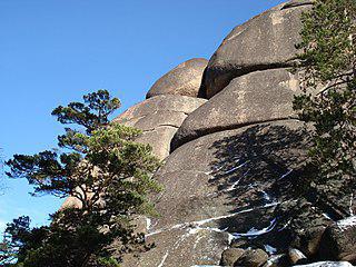 Красноярские «Столбы» дали название особой культуре. Фото 3 