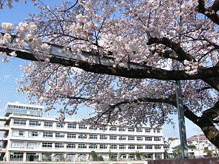 Кутаисский педагог в 1917 году первым в Грузии ввёл преподавание всех предметов курса средней школы на грузинском языке. Фото 3 