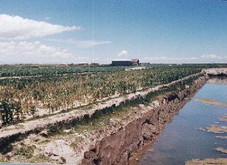 На севере Боливии индейцы создали двадцать тысяч курганов и насыпей. Фото 2 