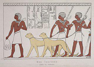 На торжественном мероприятии в Москве байкер из Кемерова выступал с собственным трофеем. Фото 1 