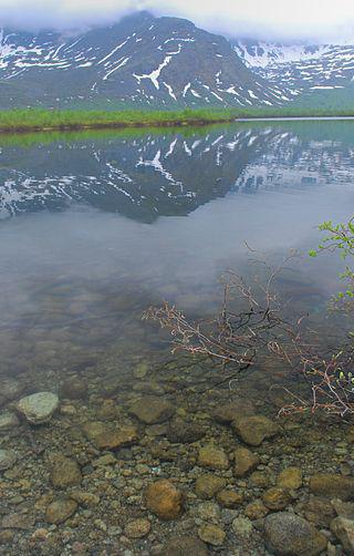 «Озеро у подножия горы» (на илл.) пострадало из-за детища академика. Фото 2 