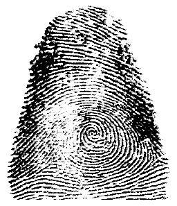 Первым преступником, изобличённым при помощи дактилоскопии, стала женщина-детоубийца. Фото 2 