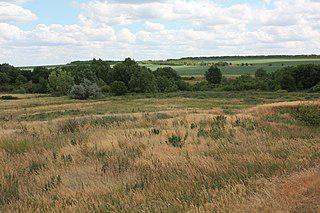 Река Большой Уран меньше Малого Урана. Фото 1 