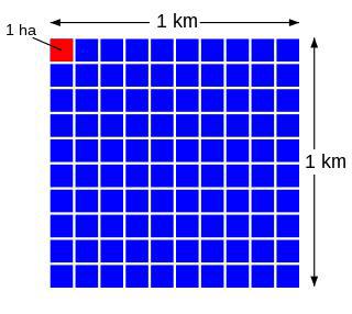 Самая маленькая в мире нелетающая птица — тристанский пастушок, который обитает лишь на острове Неприступном площадью лишь чуть более 10 км². Фото 1