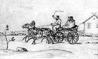 Страстный охотник и собаковод продавал своих холёных борзых по цене тройки лошадей. Фото 1 