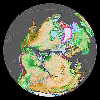 У переходной формы между севером и югом «руки коротки». Фото 2 