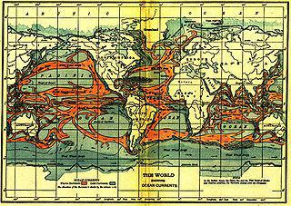 Уфологи и океанологи расходятся в идентификации объекта с глубоководной фотографии. Фото 1 