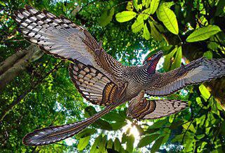 В Китае 150 миллионов лет назад обитал пернатый динозавр. Фото 2 