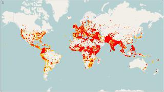 В Конституции Ирака упомянута борьба с терроризмом. Фото 2 