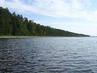 В Лосево Ленинградской области ежегодно проводится сплав по порогам на надувных секс-куклах. Фото 1 