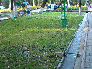 Во время земельных споров у казахов доказательствами могли служить семейное кладбище, колодец, арык и посаженые деревья. Фото 1 