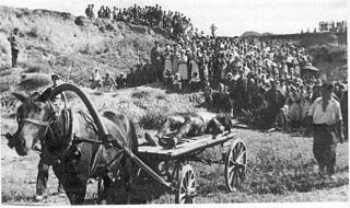 «Жертвы» могут стать «Борцами». Фото 1 